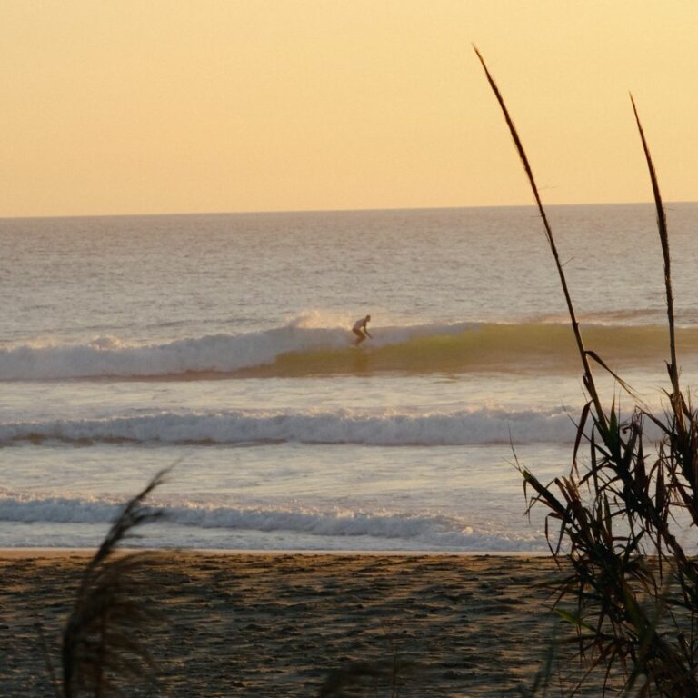 Hacer Surf en El Palmar