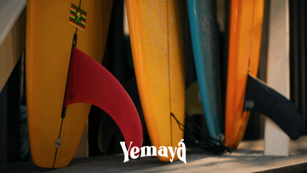 Material Surf El Palmar Cádiz