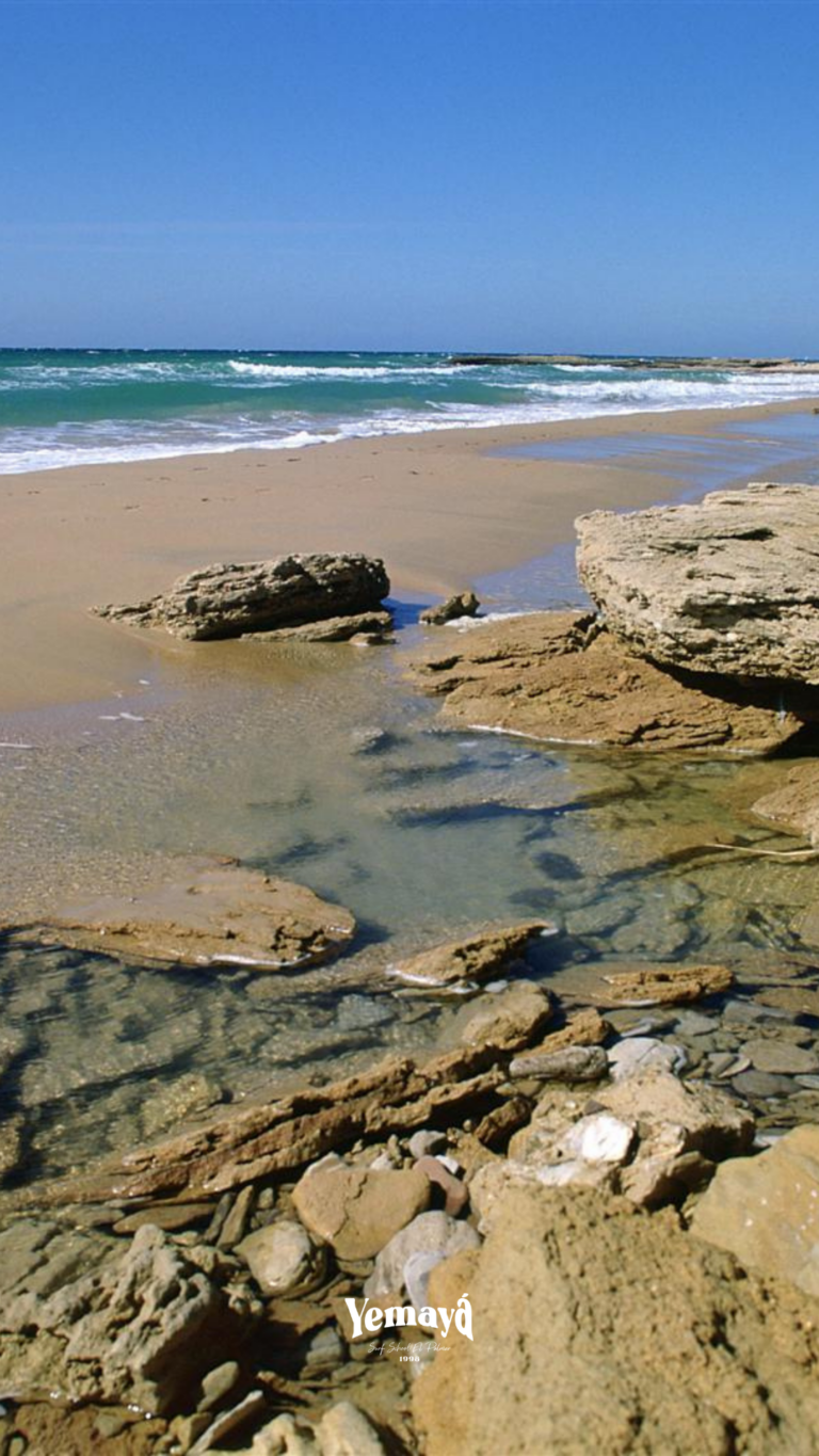 El Palmar más allá del surf