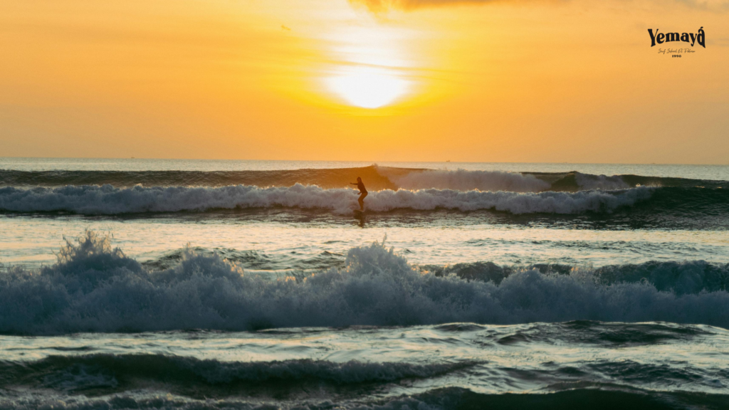 clases de surf en El Palmar Cádiz